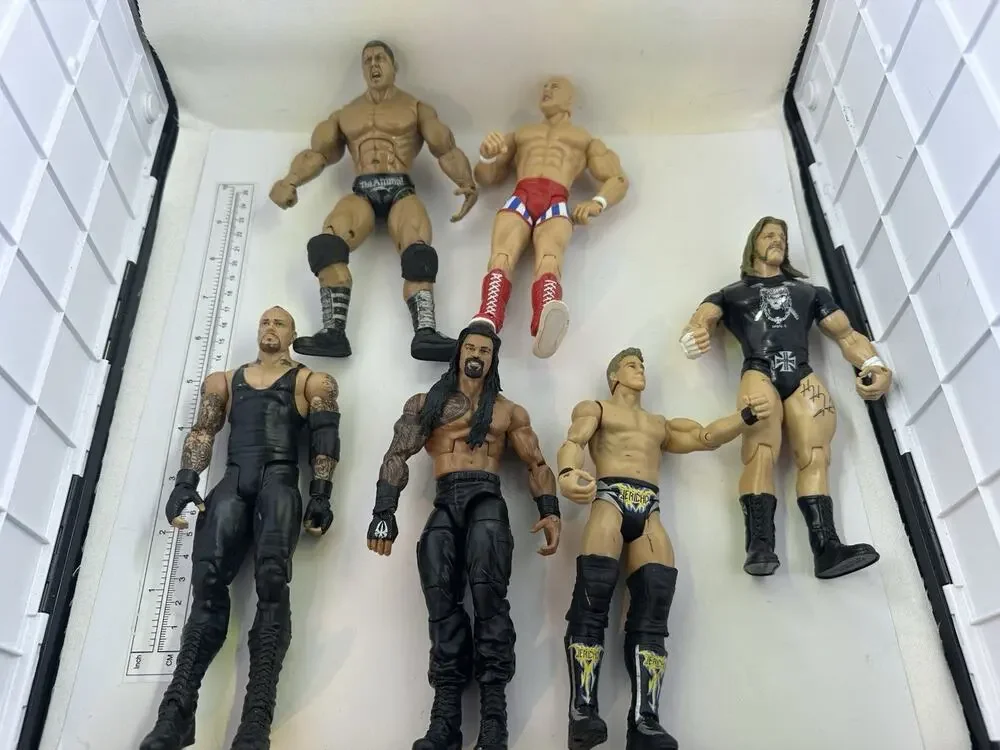 6 WWE WWF Wrestling Action Figures Pacific Triple H Batista Roman Undertake